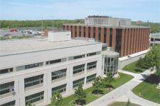 Photo of the MCC Brighton Campus Library