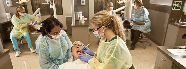 Dental students working on patients